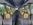 grand tourisme 57 places 